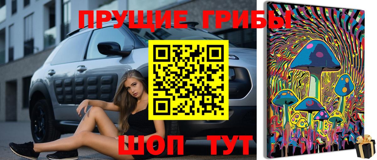 Галлюциногенные грибы мицелий Мичуринск