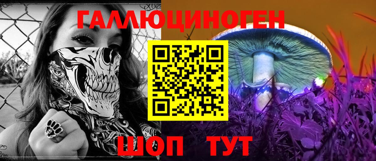Псилоцибиновые грибы мицелий  Вход с VPN  Мичуринск  Псилоцибиновые грибы Psilocybine cubensis 